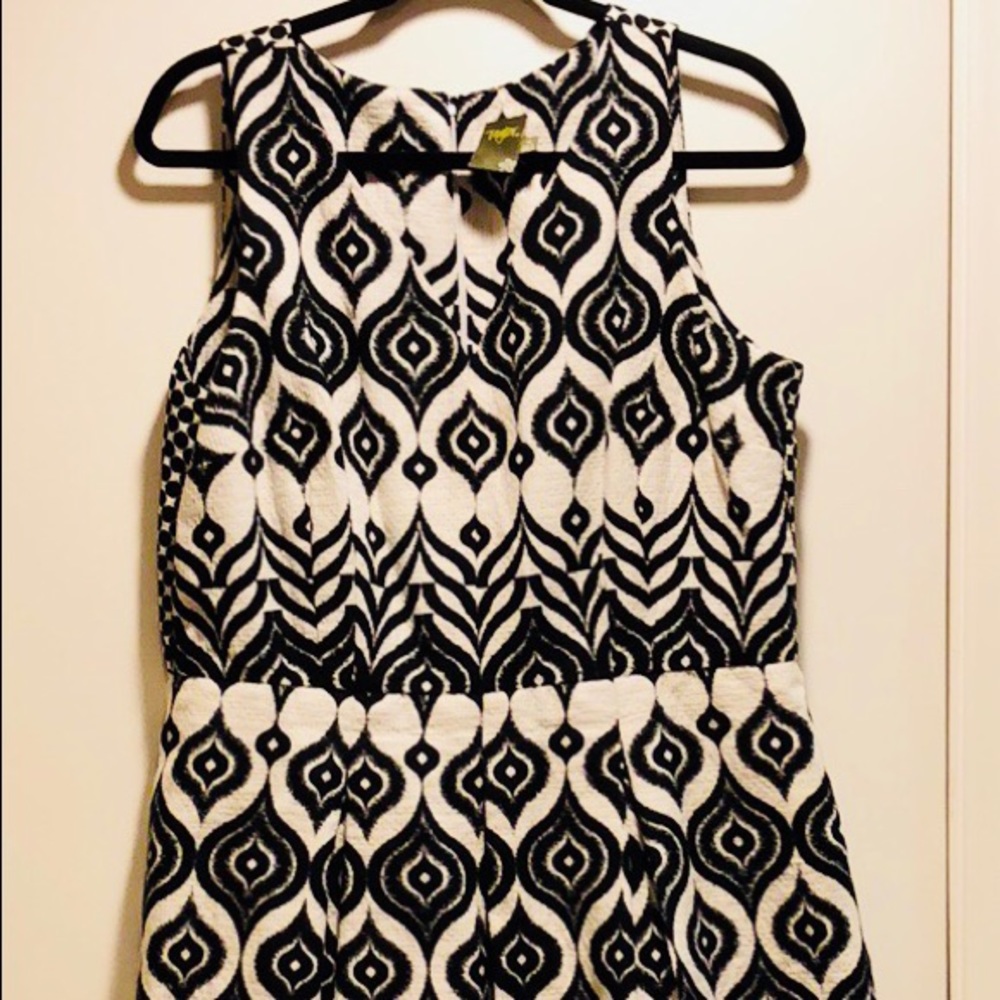 Taylor Fit and Flare Dress